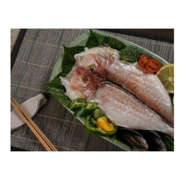 설선물 명절 제주 옥돔 특대 5 6마리 2kg 선물세트