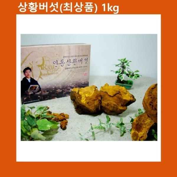 설선물 명절 국산 상황버섯 최상품 1kg 천상의 선물세트