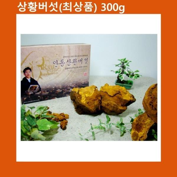 설선물 명절 국산 상황버섯 최상품 300g 천상의 선물세트