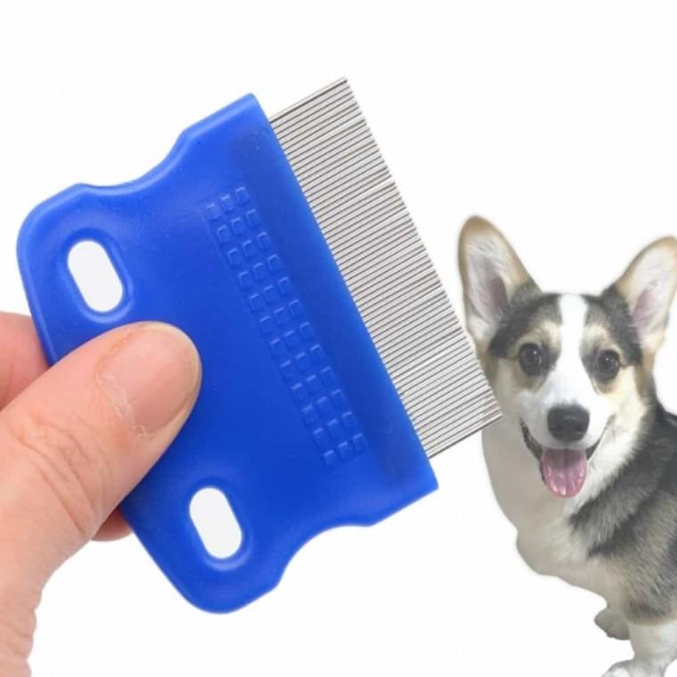 애완견 안면 눈꼽 빗 강아지안면빗 강아지빗
