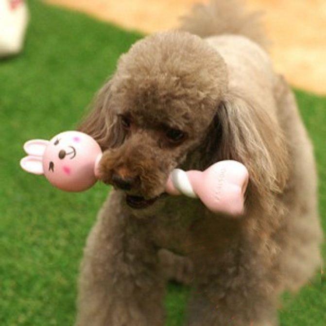 강아지 장난감 라텍스 토이 분리 불안 고무 인형 1개
