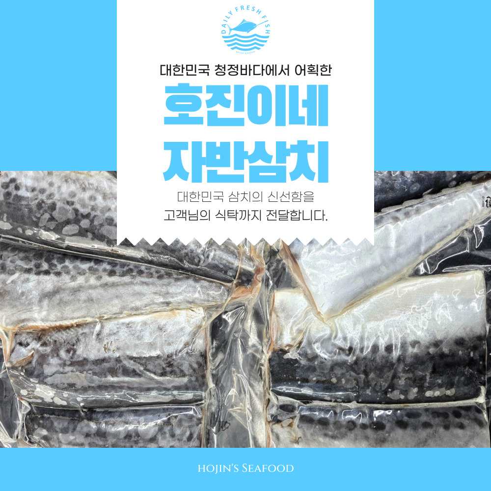 100% 수작업 손질 호진이네 국내산 자반 삼치 손질삼치 大 1마리~5마리