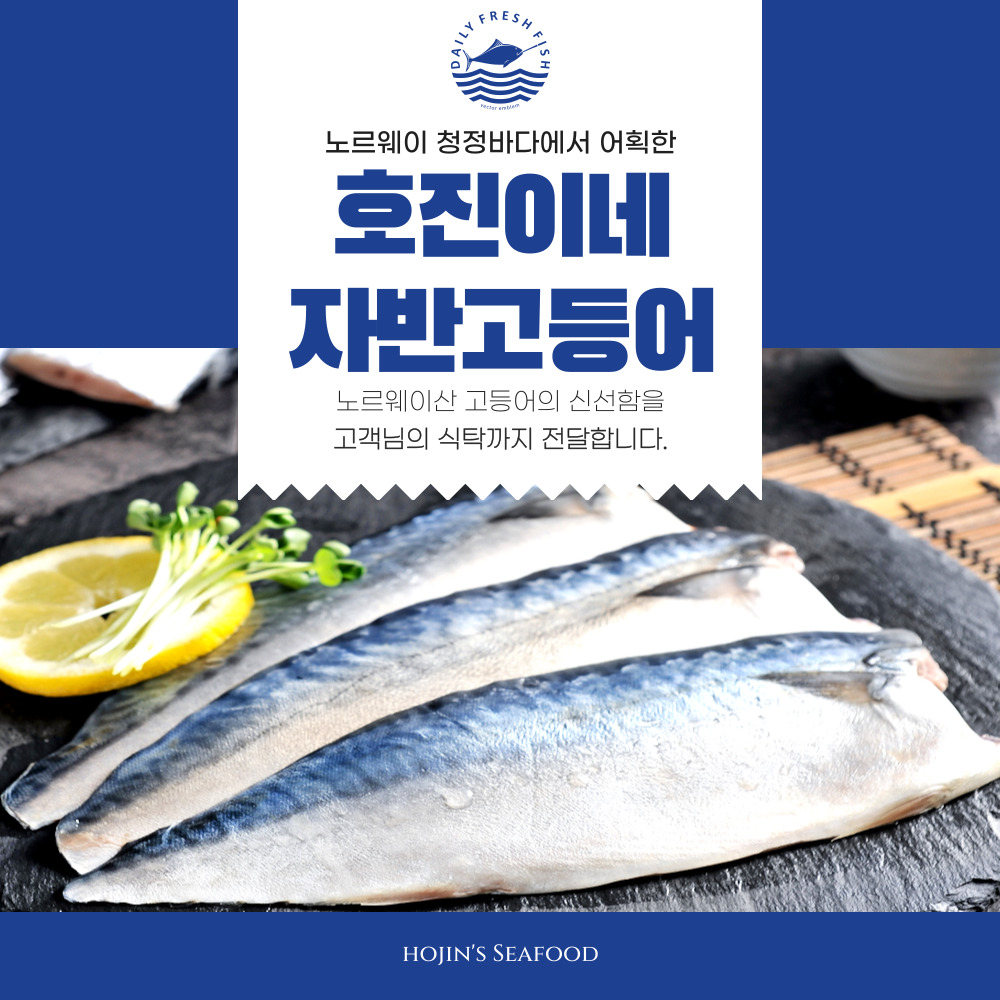 100% 수작업 손질 호진이네 노르웨이산 자반고등어 손질고등어 간고등어 大 1손(2마리)~5손(10마리)