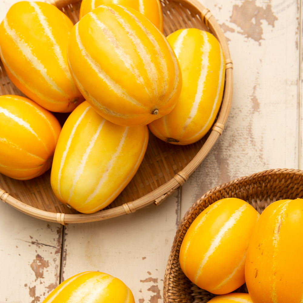 ★제철밥상★ [DV] 꿀 떨어지는 산지직송 성주 가정용 참외 1kg/1.5kg/2kg