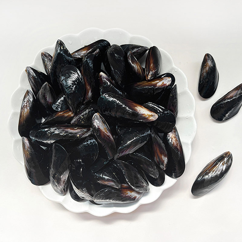 [남해촌놈들] 산지직송 국내산 홍합 1kg / 2kg