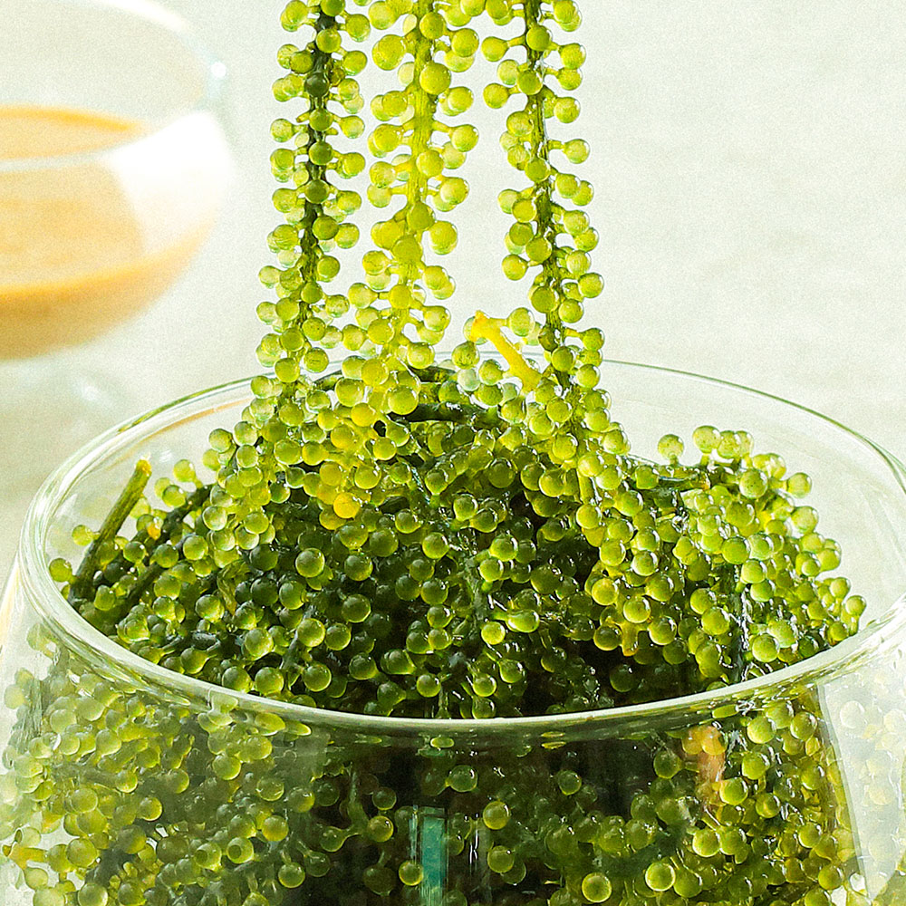 바다포도 100g (+참깨드레싱소스 20g)
