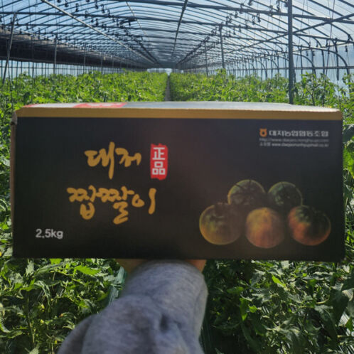 [산지직송] 대저토마토/대저짭잘이 토마토 2.5kg [소/중/대]