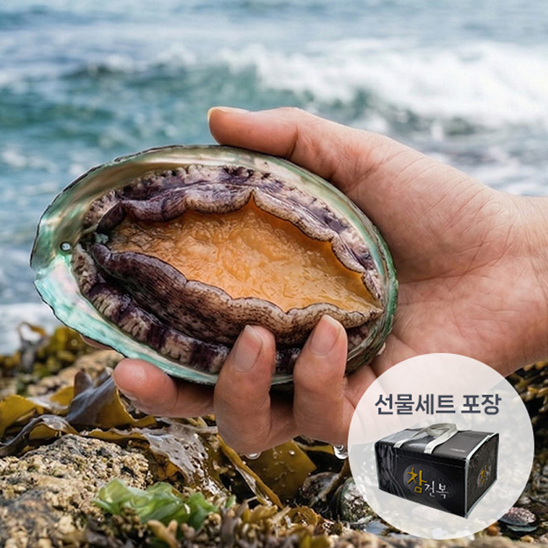★가정의달특가★ [남해촌놈들] 프리미엄 완도 활전복 선물세트 1kg내외(대/14-16미) 외