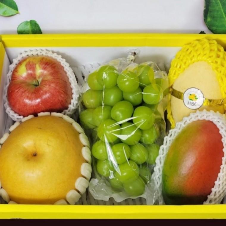 과일 선물세트 사과 배 샤인머스켓 망고 설날 명절 선물 답례품 단체