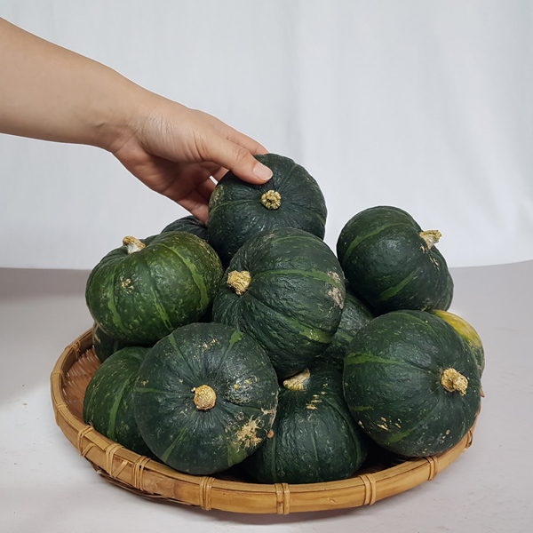 [GAP인증] 포슬포슬 미니 밤호박 2kg(3-6개입) [2kg-4kg]