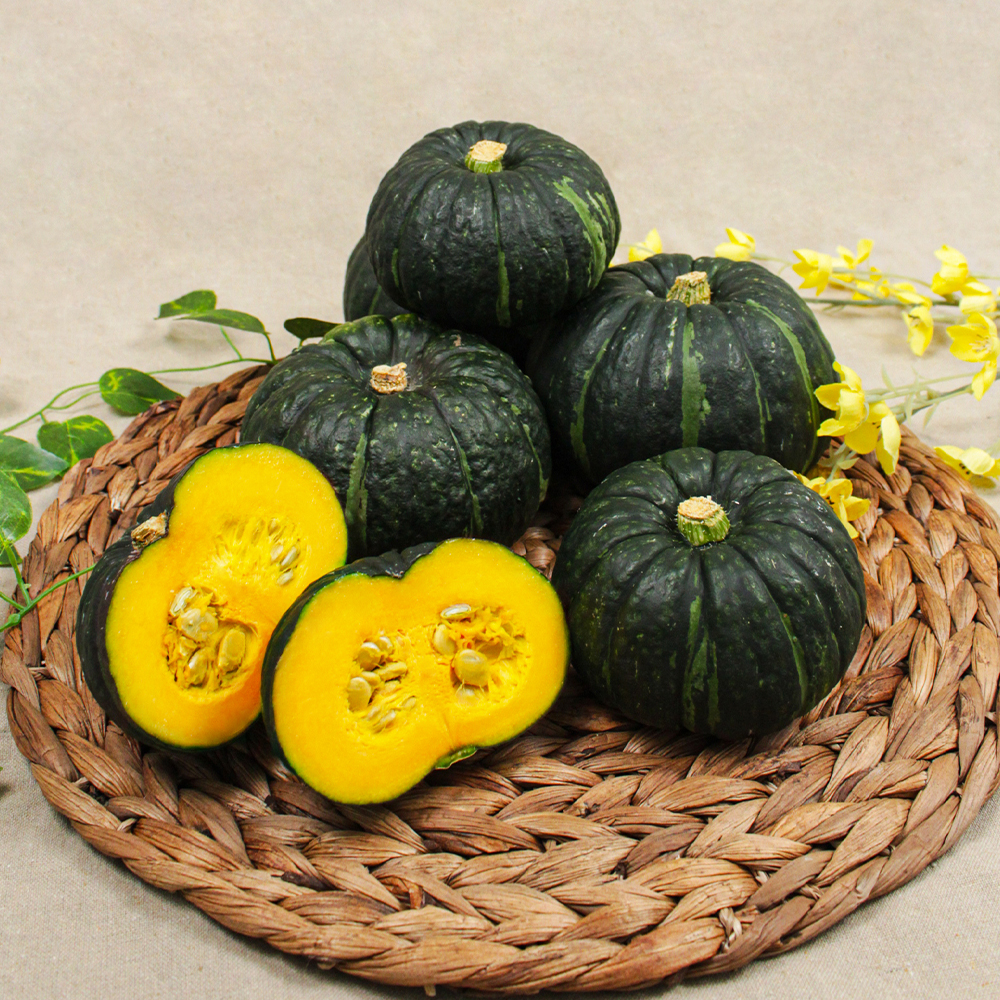 [HM] 제주 미니 밤호박(보우짱) 2kg 3~8과(로얄과)