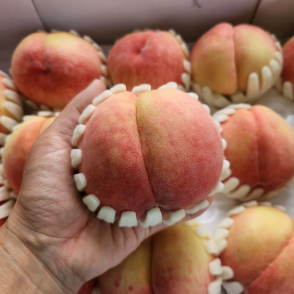 [첫출하] 국내산 영천_햇 딱딱이 복숭아 [2kg-4kg]