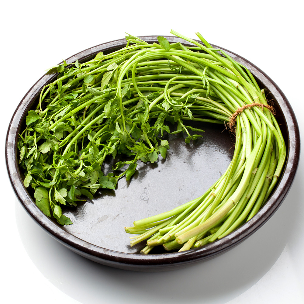 [솜이담이] 진한 향과 아삭함 가득 동곡 돌미나리 1kg~4kg