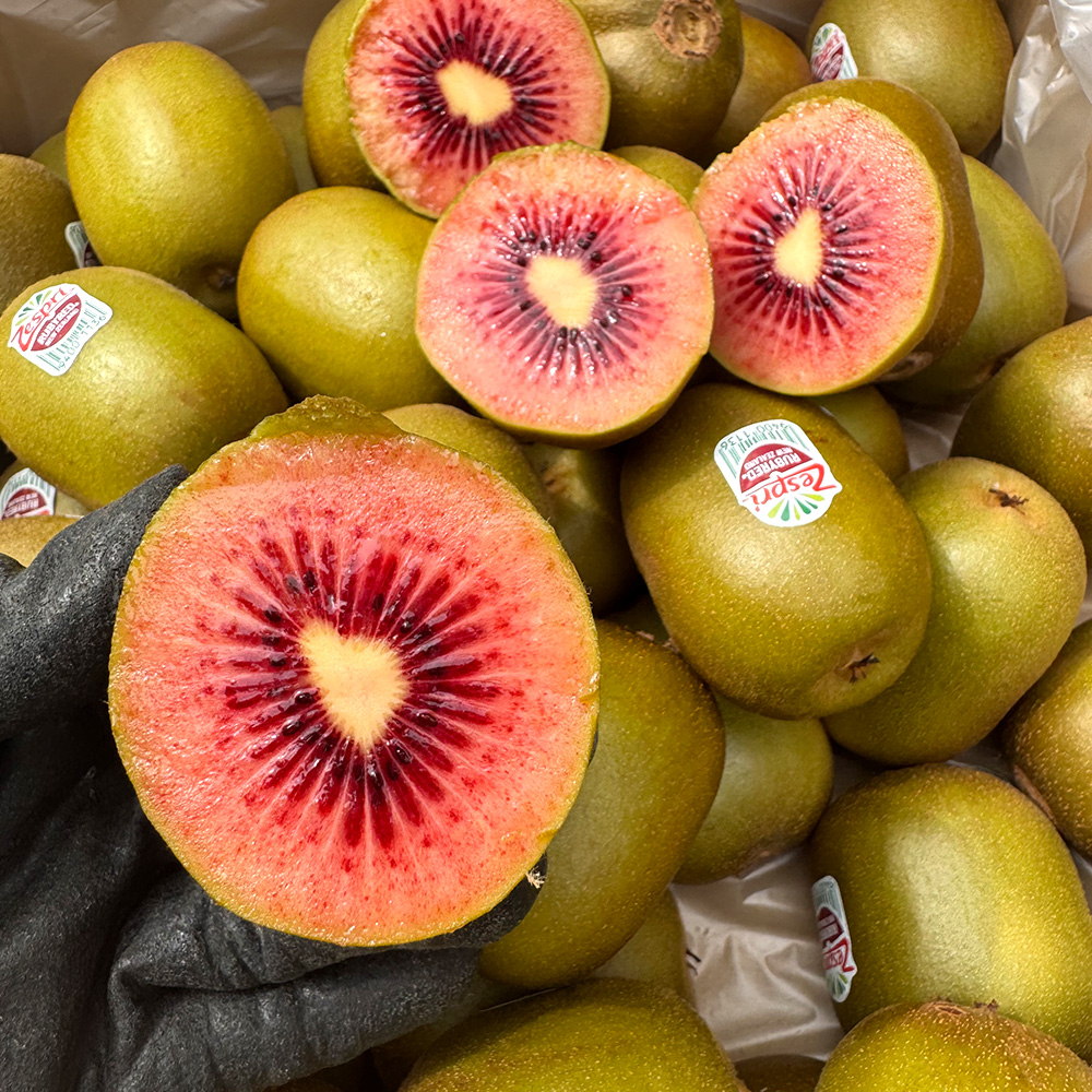 [솜이담이] 차원이 다른맛과 당도 프리미엄 제주 레드키위 2kg~5kg