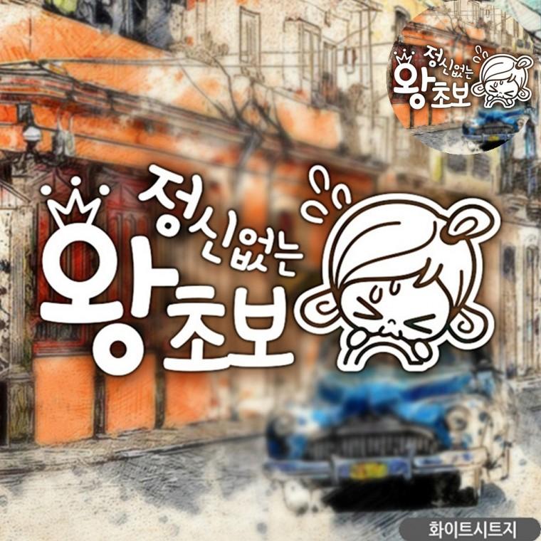 차량용스티커 차량용시트지 자동차뒷유리스티커 차량스티커 카스티커 초보자동차스티커 화이트