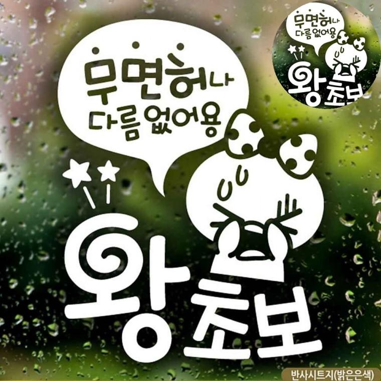 초보운전반사스티커 초보운전스티커 차량용스티커 차량스티커 왕초보스티커 차량용품 자동차스티커