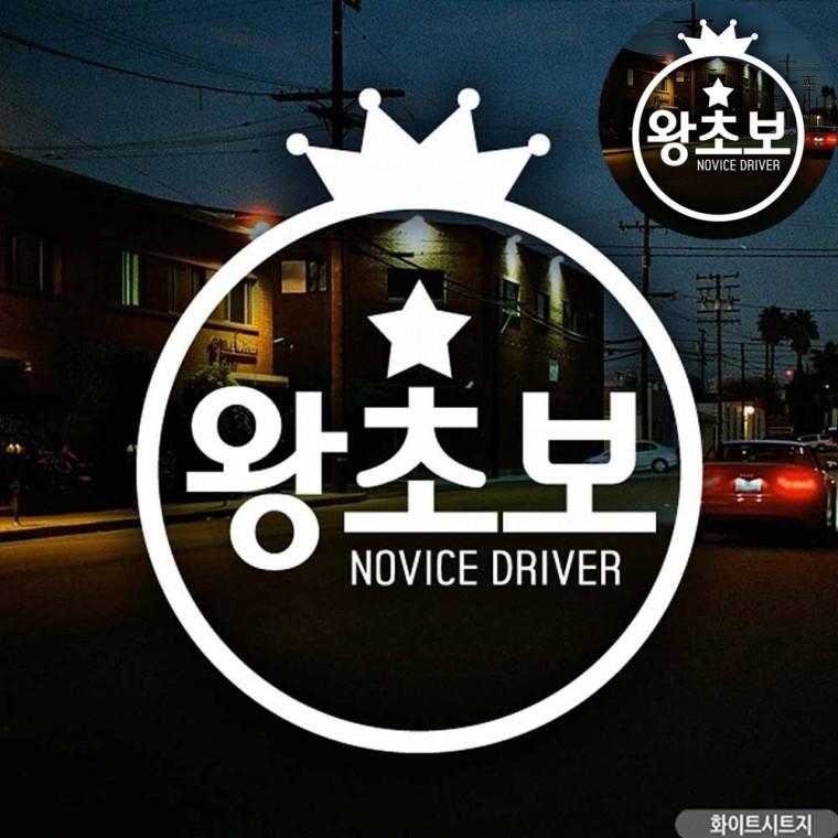초보운전 자동차용스티커 차량스티커 차량용스티커 왕초보스티커 자동차스티커