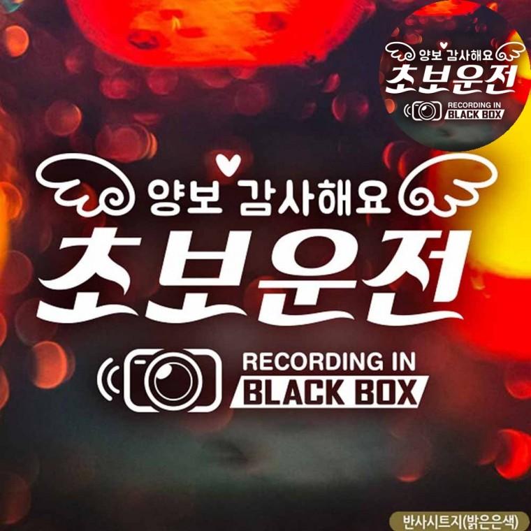 차량용스티커 왕초보스티커 초보운전스티커 차량스티커 자동차야광스티커 자동차스티커