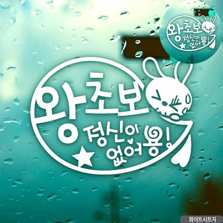 초보스티커 왕초보스티커 유리창스티커 글자스티커 차량용초보운전스티커 차량스티커 자동차스티커