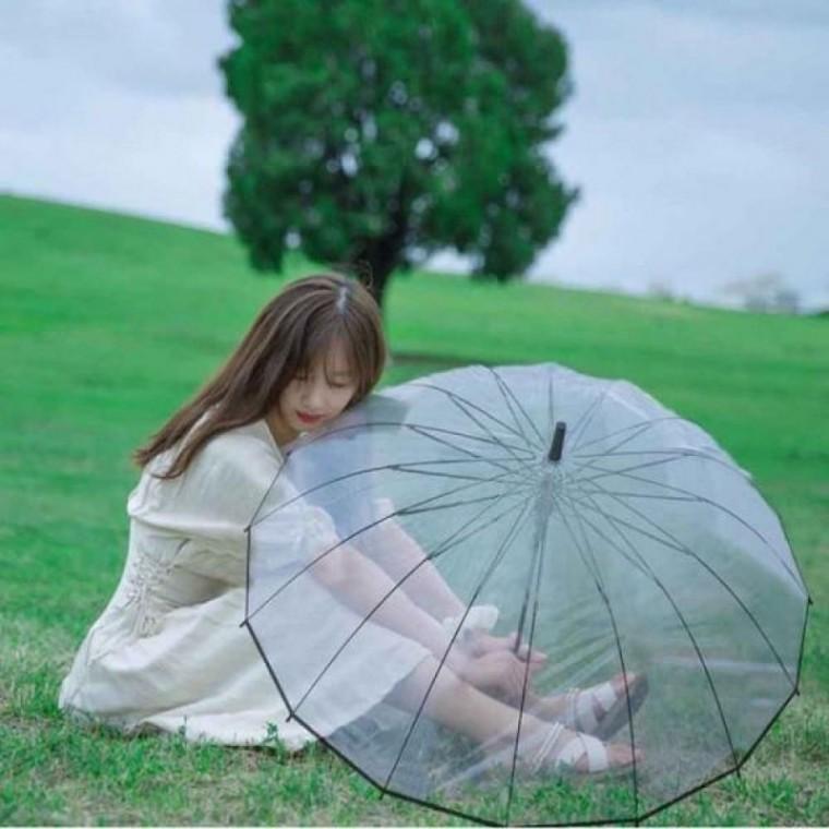 장우산 튼튼한 안심 비닐 우산 가벼운 태풍 투명