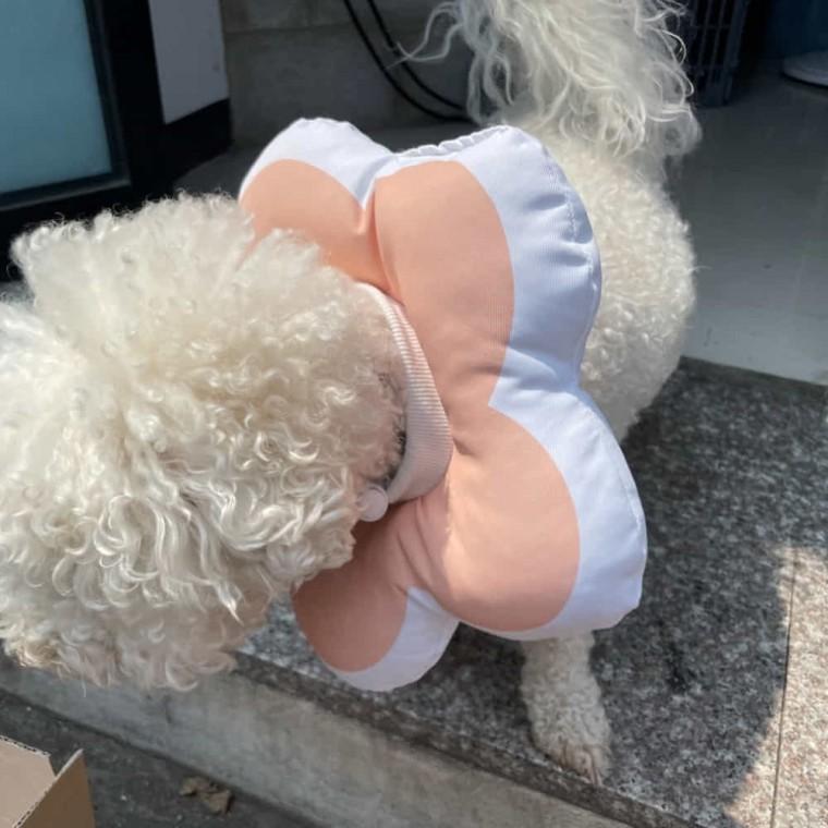 강아지 넥카라 핑크 강아지쿠션넥카라 강아지방석