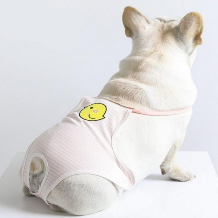 강아지 생리팬티 반려동물 위생팬티 6컬러 선택 가능 반려견매너벨트 강아지팬티 강아지위생팬티