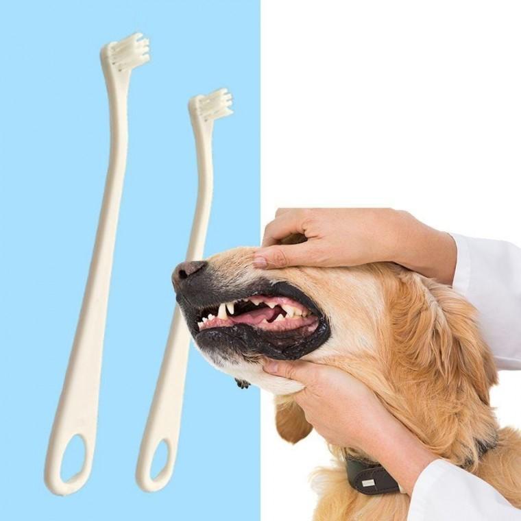 반려동물 구강관리 칫솔 강아지 고양이 애완동물용
