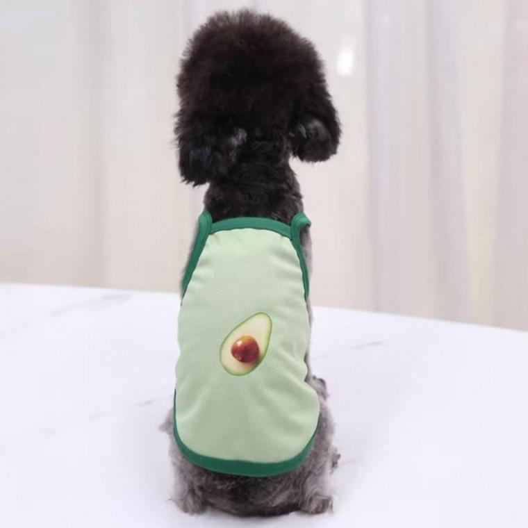 고양이 반려 동물 애견옷 M 귀여운 아보카도 강아지 강아지옷 고양이옷 애완 반려견