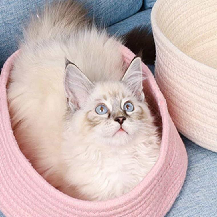 고양이 숨숨집 바구니 강아지방석 애견집 강아지하우스
