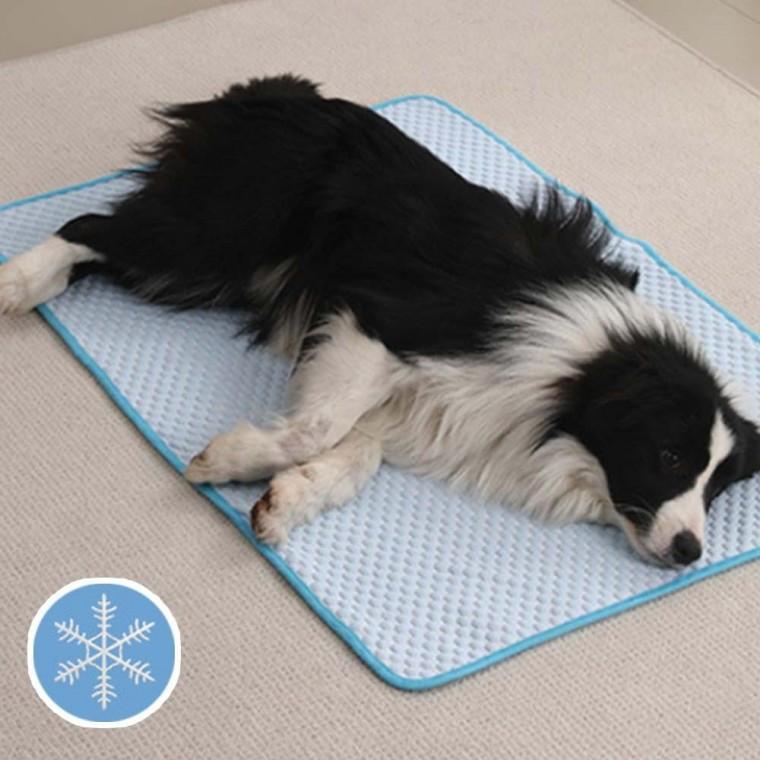 강아지 온 쿨매트 방석 쿨방석 고양이 매트 쿨링 쿨링매트 강아지