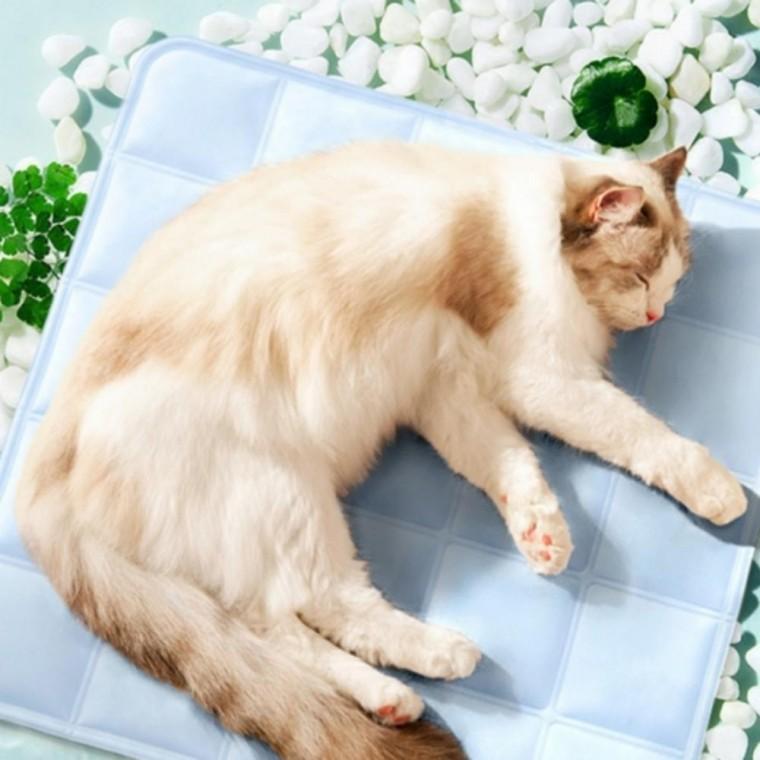 쿨매트 시트 냉감패드 강아지 강아지매트 쿨링 고양이