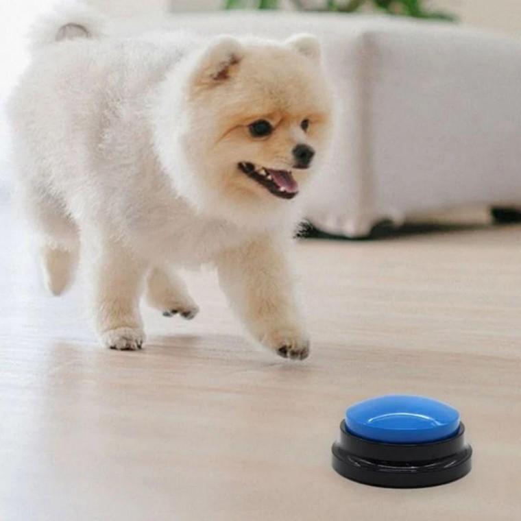 강아지 말하는 버튼 녹음벨 훈련벨 고양이 훈련