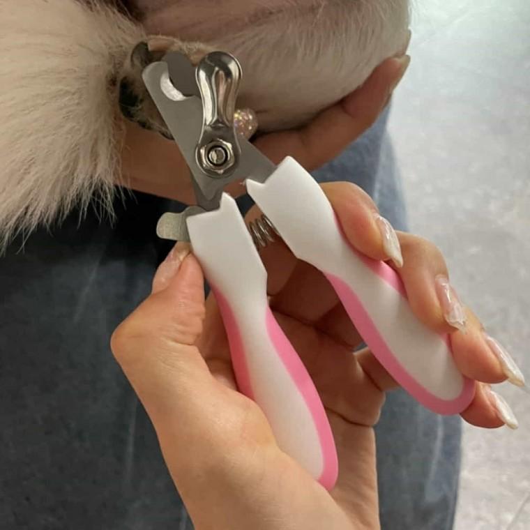 강아지 고양이 발톱깎이 애견발톱깍기 강아지발톱깍기
