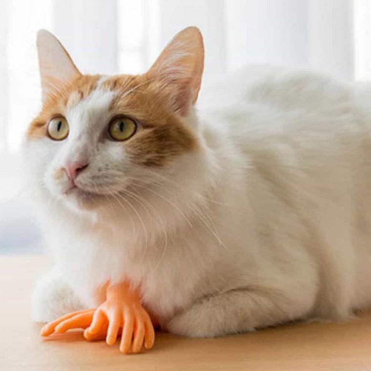 고양이손 가짜손 강아지손 고양이 손가락 마사지기 반려묘 촬영용 장난감