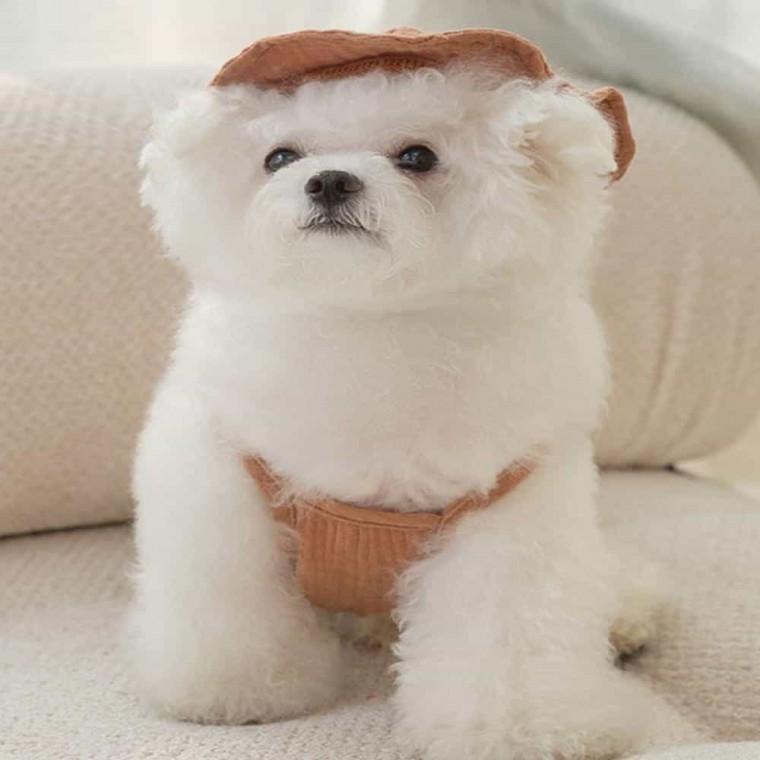강아지 여름옷
