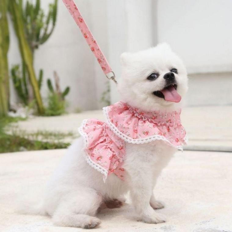 강아지 하네스 고양이 하네스 세트 반려견 산책 리드줄 외출복 소형견
