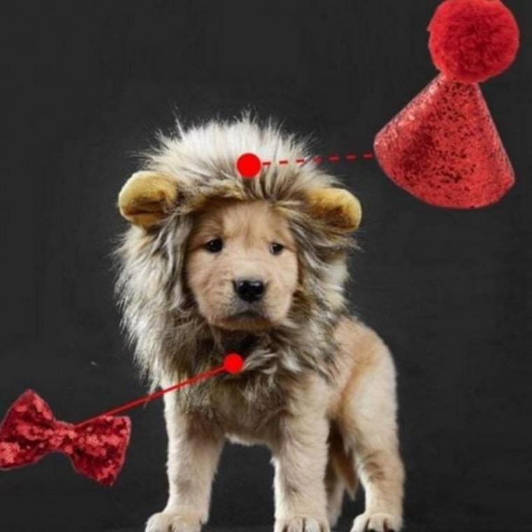 파티 고양이 생일 모자 기념일 모자 생일 강아지 반려동물 변신
