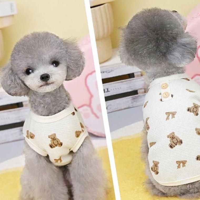 강아지 봄 가을 사계절 실내 귀여운 산책 올인원 나시