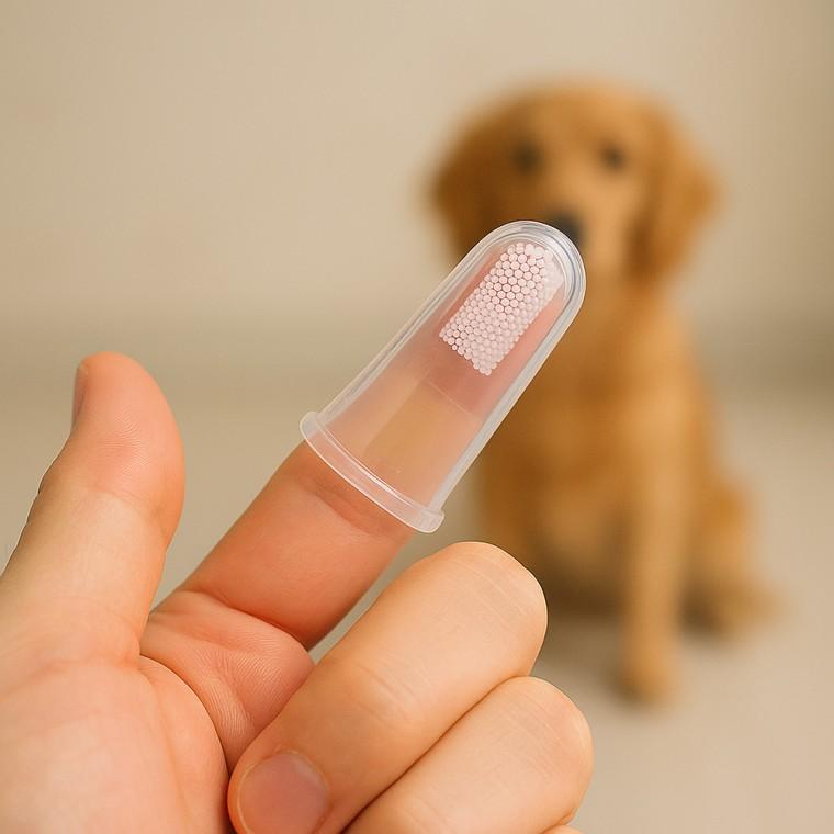 반려동물 실리콘 손가락 칫솔 10p 강아지 고양이 양치