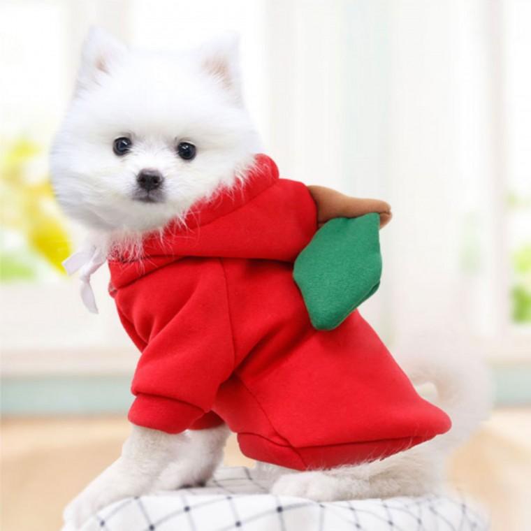 애견옷 과일옷 사과 M 귀여운 강아지옷 고양이옷 애완 동물 반려 반려견 반려묘 애완견옷