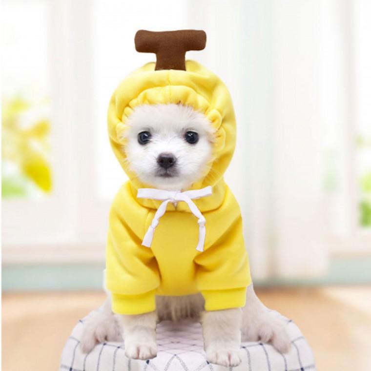 애견옷 과일옷 바나나 L 귀여운 강아지옷 고양이옷 애완 동물 반려 반려견 반려묘