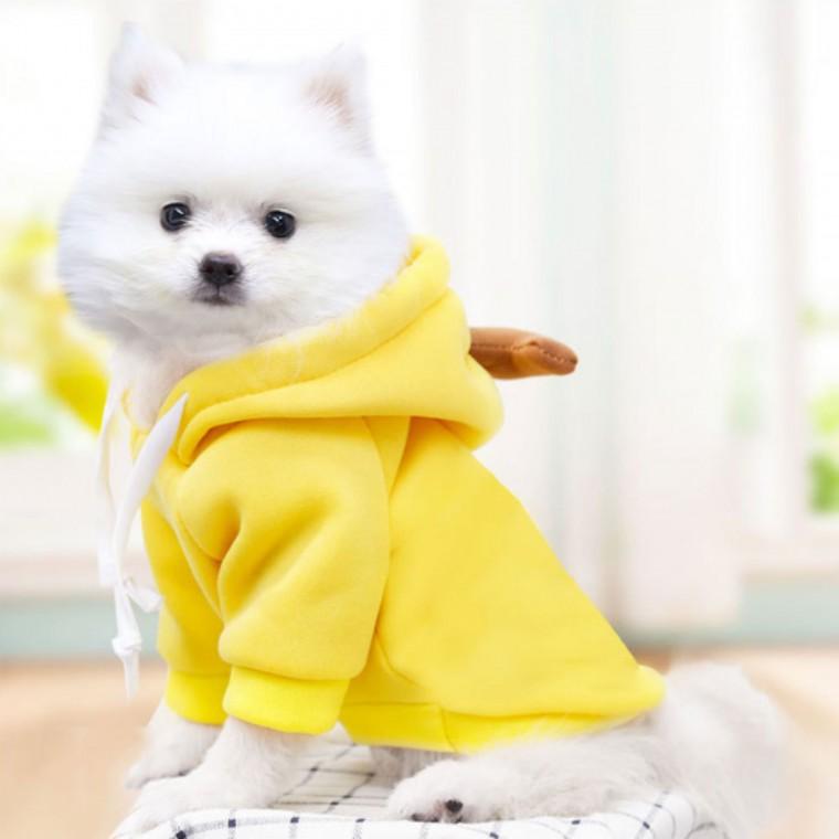 애견옷 과일옷 바나나 M 귀여운 강아지옷 고양이옷 애완 동물 반려 반려견 반려묘