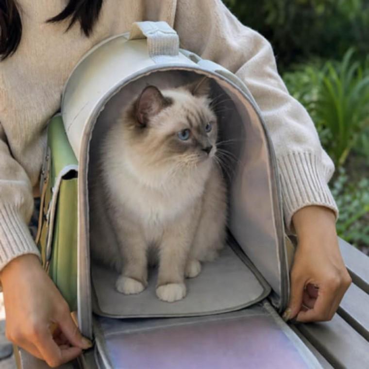 강아지 고양이 펫 백팩 이동가방 3컬러 반려동물 산책 외출 가방