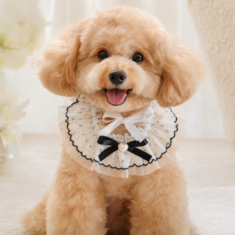 강아지 고양이 레이스 케이프 자수 스카프 턱받이 애견 악세사리