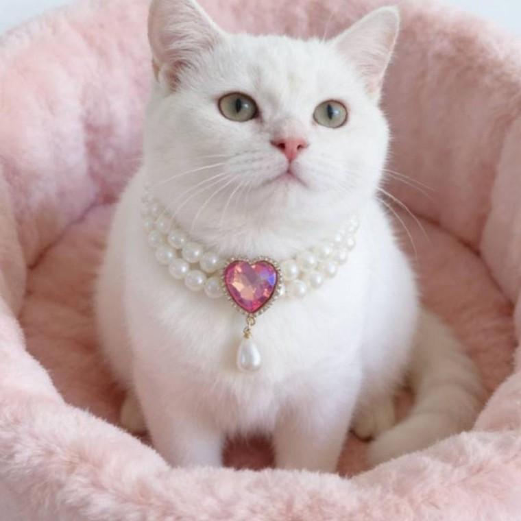 강아지 고양이 진주 알찬 목걸이 반려동물 펜던트 패션 액세서리