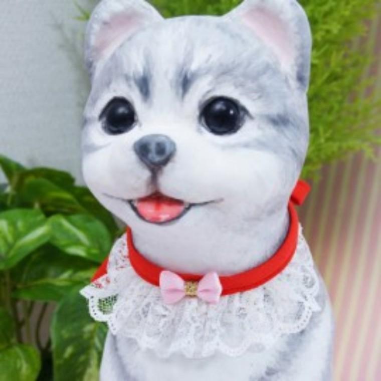 고양이케이프 강아지망토 강아지리본케이프 강아지스카프 애견넥워머 강아지목케이프 리본스카프 10EA