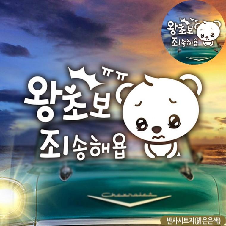 초보운전스티커 차량스티커 차량용스티커 왕초보운전스티커 차량용초보운전스티커 초보자동차스티커 반사