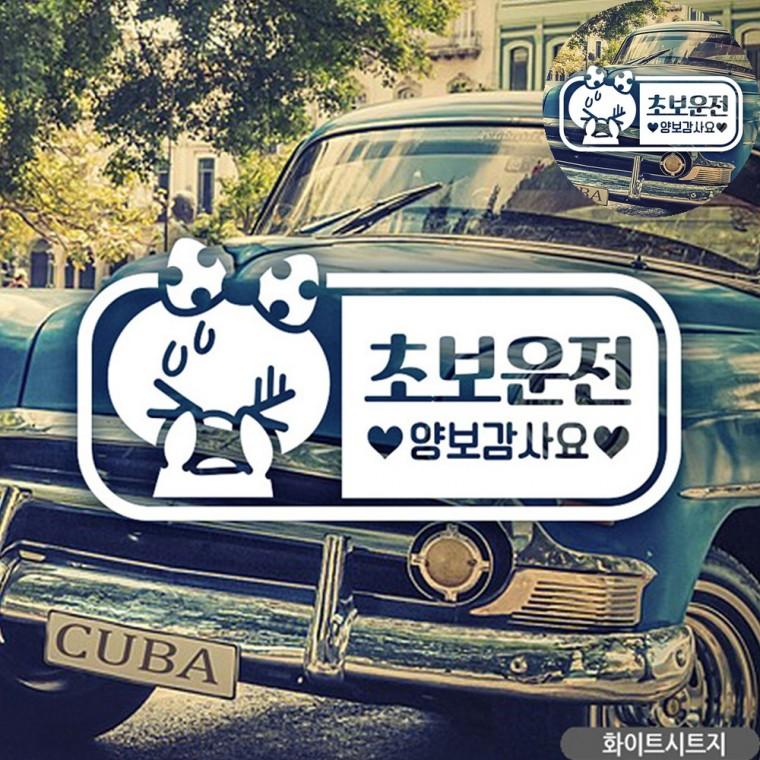 차량안전스티커 차량용스티커 자동차시트지 차량스티커 초보운전스티커 초보자동차스티커 화이트