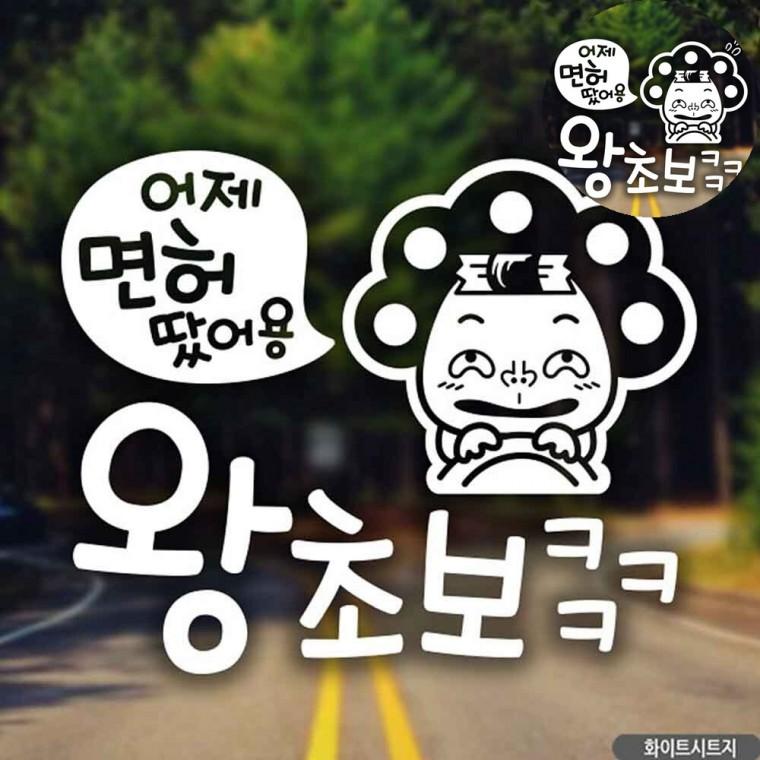 자동차용스티커 차량스티커 자동차뒷유리스티커 카스티커 차량용스티커 자동차스티커
