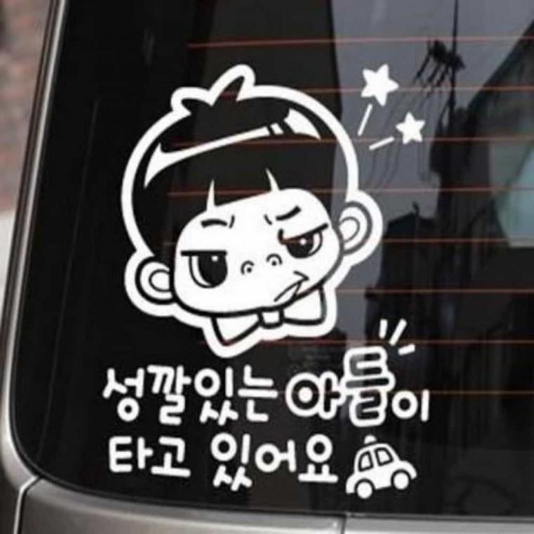 자동차스티커 야광스티커 차량용스티커 반사스티커